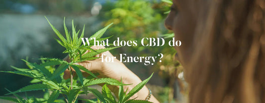 What does CBD do for Energy? - AlohaHemp